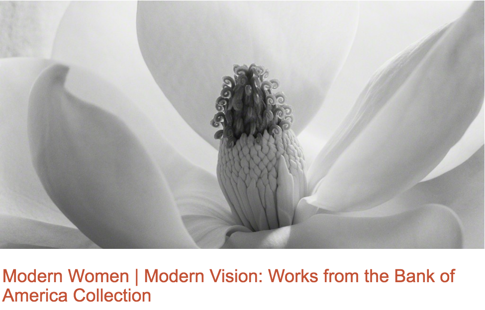 Modern Women Modern Vision: Works from the Bank of America Collection